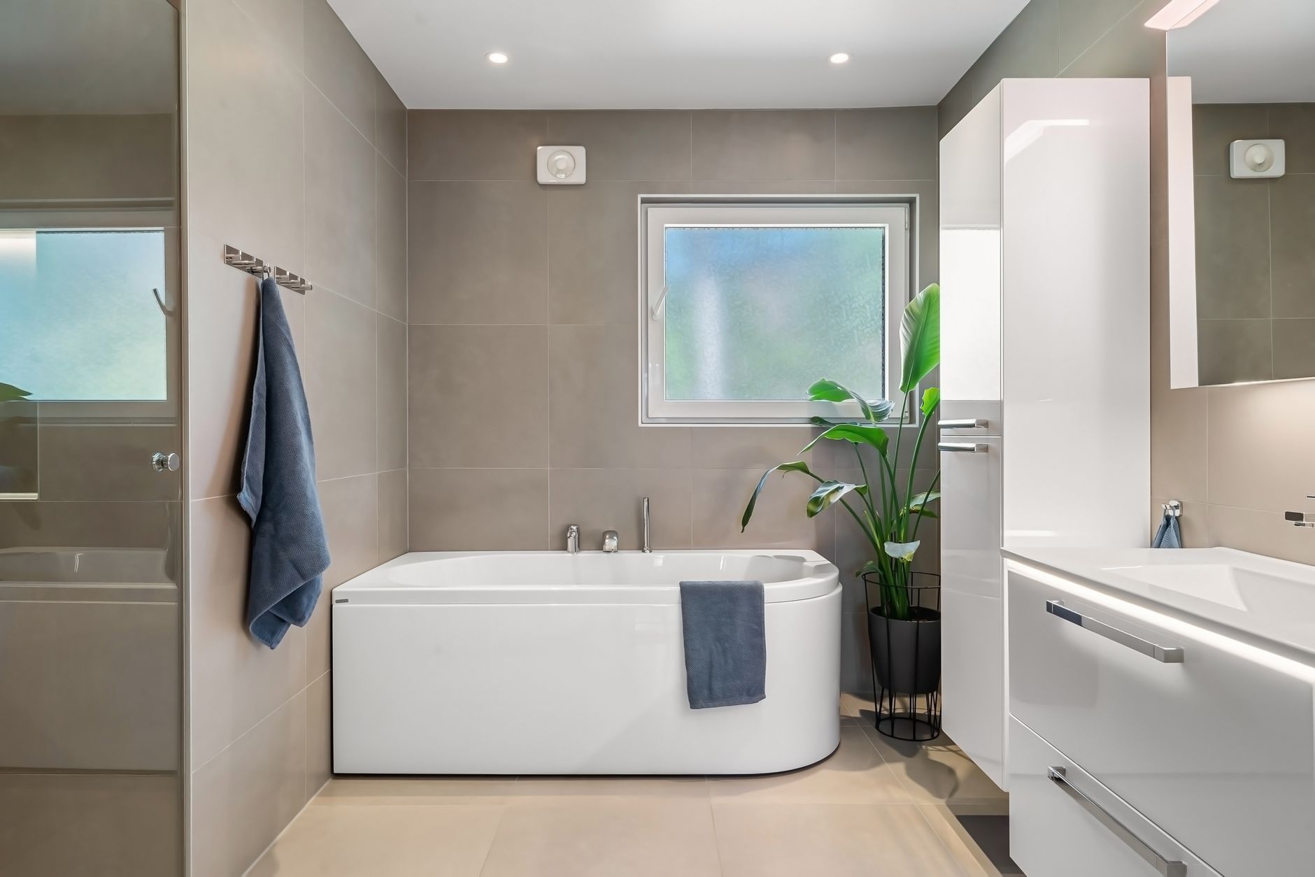 Moisissure au plafond salle de bain malgré VMC : comprendre le vrai scénario — moisissure plafond salle de bain VMC