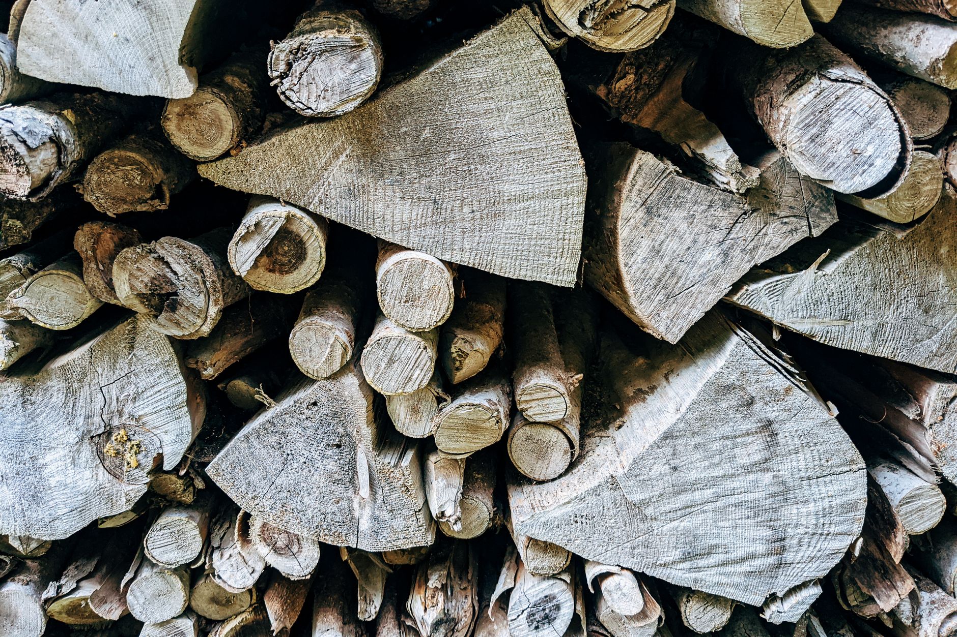 Albizia bois de chauffage : caractéristiques, densité et pouvoir calorifique — bûches d'albizia empilées