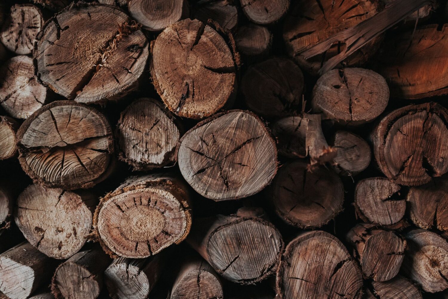 Pouvoir calorifique de l&rsquo;albizia comparé au chêne, au hêtre et au charme