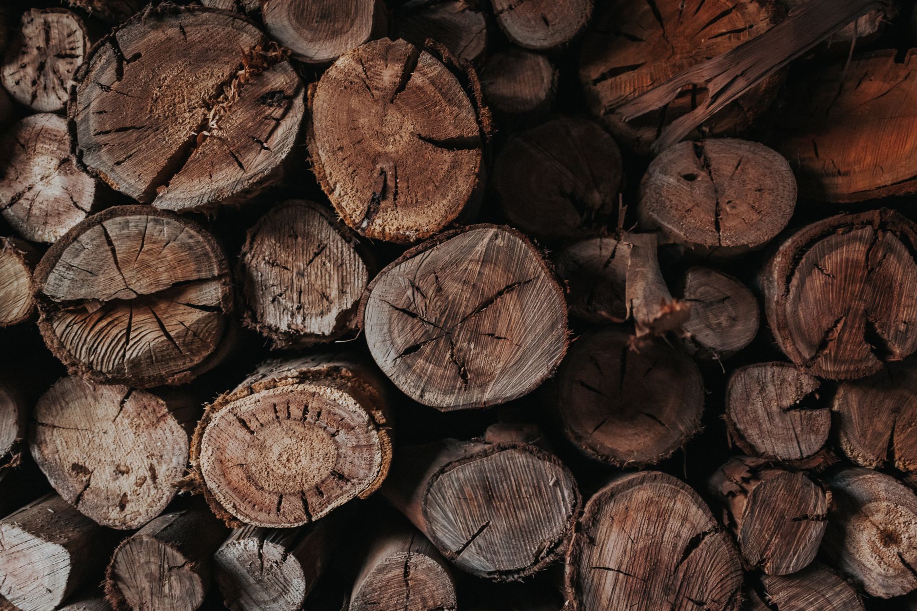 Pouvoir calorifique de l'albizia comparé — bûches d'albizia empilées