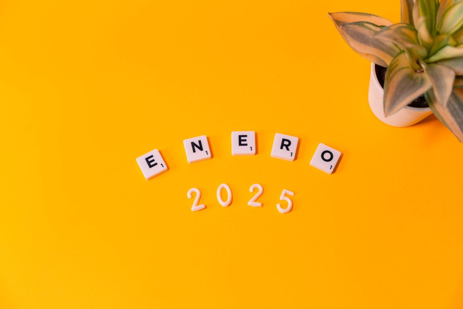 Aides PAC 2025 : montants, dates de versement et calendrier de paiement