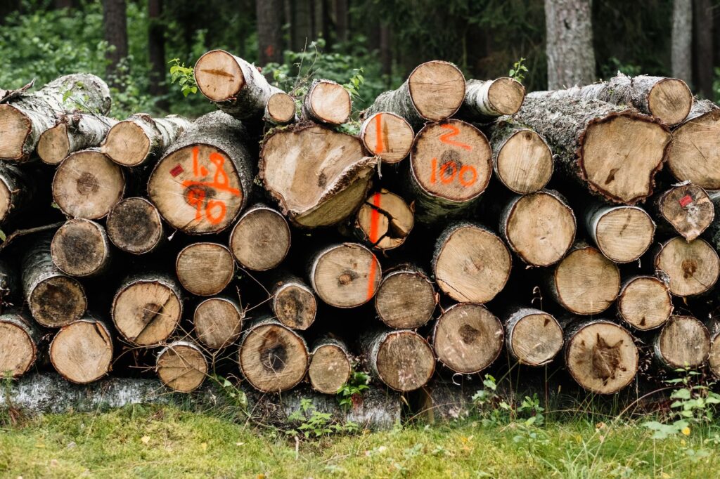 Stère de bois pas cher — mesure d'humidité stère de bois